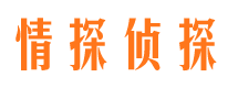 龙岩侦探公司